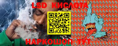 СК Кингисепп