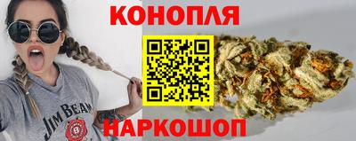 СК Кингисепп