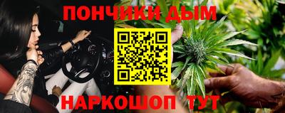 СК Кингисепп