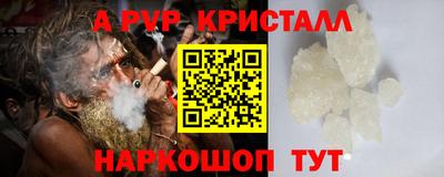 СК Кингисепп