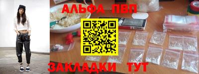 СК Кингисепп