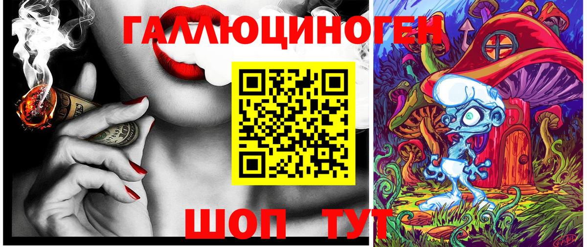 Галлюциногенные грибы Psilocybine cubensis Элиста
