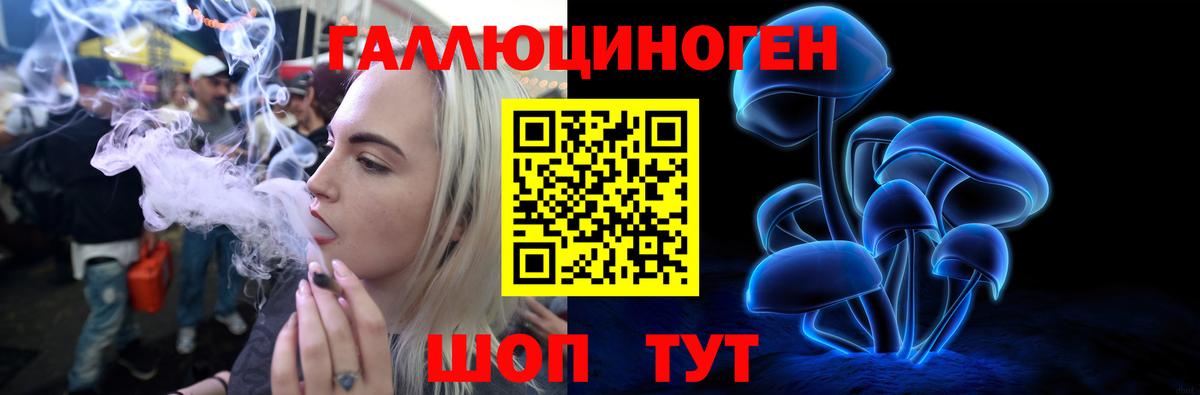 MDMA Элиста